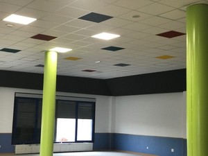 TECHO DE 60 X 60