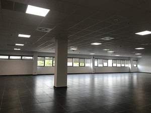 TECHOS AMF