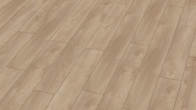 Mammut D4752